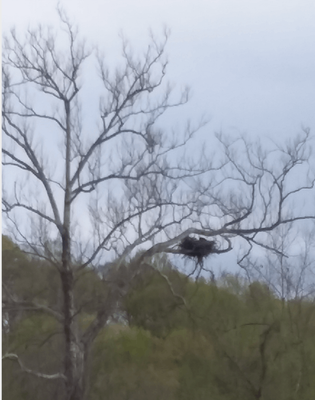 Shenandoah River Floating 